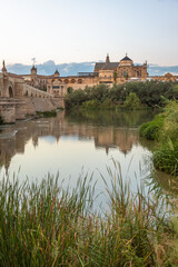 Fototapeta premium Exposure at sunset of the Roman bridge of and the Mosque–Cathedral of Cordoba in the background with the Guadalquivir river in the foreground