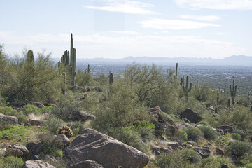 The wind cave trail located in the Usery Mountain Regional park near Mesa Arizona is a...
