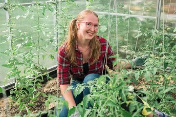 Happy gardener woman in gloves and care tomatoes in greenhouse. Gardening and floriculture. Garden care