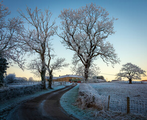 Frosty drive to a big house, sunrise, Lochwinnoch, Renfrewshire, Scotland, UK