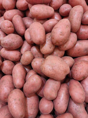 pink washed potatoes close-up on the counter of the vegetable market