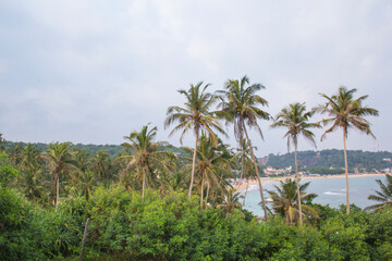 Naklejka na ściany i meble Beautiful view of the tropical beach of Sri Lanka on a sunny day