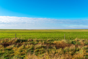 Dike foreland and salt marsh in Hagermarsch, Hilgenriedersiel on the East Frisian North Sea coast. There is a large floodplain in front of the dike on the wadden sea
