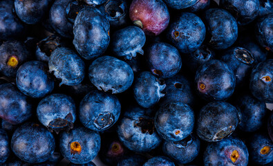Blueberry Fresh Berries on White Background