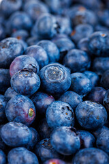 Blueberry Fresh Berries on White Background