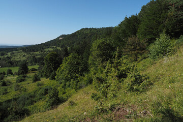 Fototapeta na wymiar Wacholderheide im Naturschutzgebiet Bürgle, Schwäbische Alb