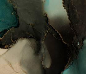 Art Abstract alcohol ink and watercolor painting blots horizontal background. Alcohol ink black, blue and gold colors. Marble texture.