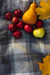 Pumpkin, apples, and maple leaves on a grey woolen textile with patterns. Autumn harvest card. Closeup. Copy space. 