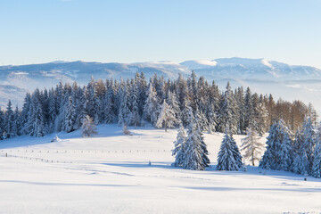 Fototapeta na wymiar Winter landscape in a remote mountain area in Austria