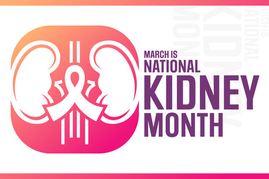 March is National Kidney Month. Vector illustration. Holiday poster.