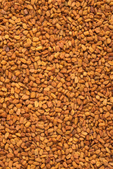 Trigonella foenum-graecum - Organic dried fenugreek seeds