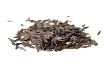 Isolated lettuce seeds in a pile. Close up of small black loose leaf lettuce variety known as grand rapids lettuce or Lactuca sativa. Seeds ready to be planted. Selective focus. White background.