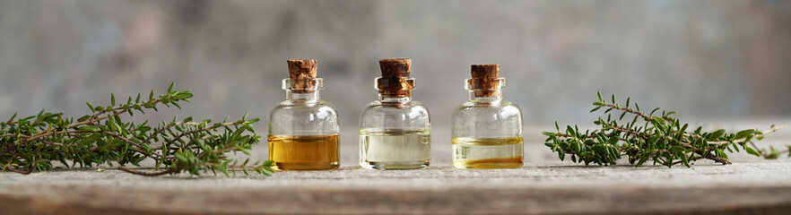 Bottles of thyme essential oil with fresh thyme - panoramic header