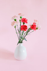 Beautiful pink and white Carnation flowers on a pink pastel background.