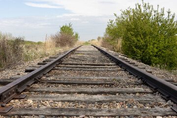 Fototapeta premium railroad tracks in the countryside