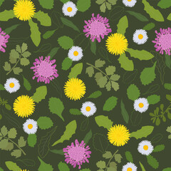 Floral seamless pattern hand-drawn. Flower graphic design.