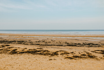Nature of Latvia, Baltic Sea bay, beach in winter with birds