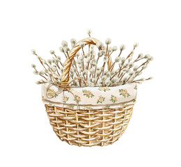 Watercolor vintage colorful handmade Easter willow twigs in wicker basket isolated on white background. Watercolor hand drawn illustration sketch © Mimomy