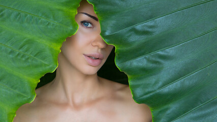 Young woman's face surrounded by tropical leaves. woman's eye