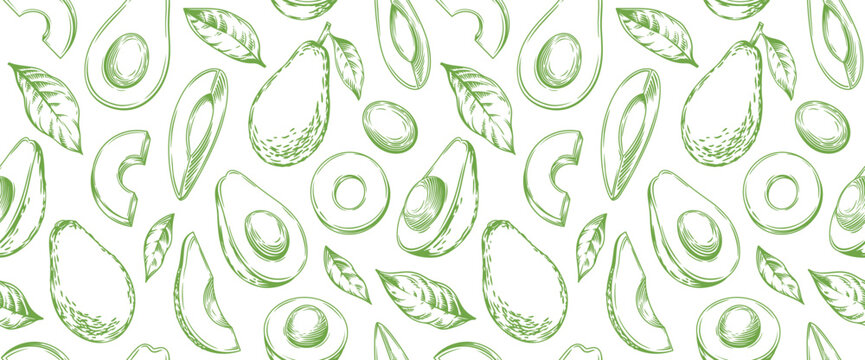 Seamless pattern with avocado. Healthy vegan food. Vector monochrome hand drawn illustration. 