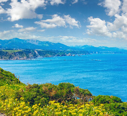 Summer Cape Vidio coastline landscape with yellow flowers in front (Asturias, Cudillero, Spain).