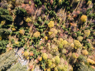 Aerial Autumn landscaape of Vitosha Mountain, Bulgaria