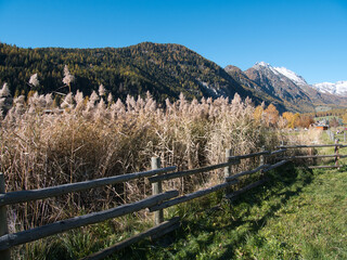 Around Brusson lake in autumn. Ayas valley, Italy.