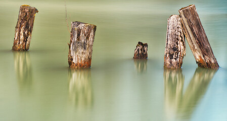 Holzpfähle spiegeln sich im grünen Wasser