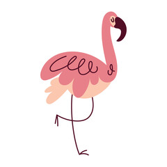 pink flamingo bird