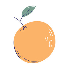 fresh orange citrus fruit