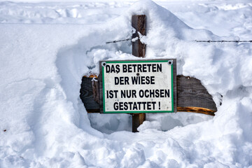 Schild, Tafel, Hinweis, Holzschild, Ochse, Warnung, Betreten, erlaubt, verboten, Zaun, Holzzaun,...