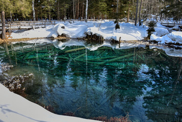 Meerauge, Bodental, Meerauge Bodental, Kärnten, Toteisloch, Teich, Tümpel, Wasser, Baum, Baumstamm, Baumstämme, versunken, Natur, natürlich, Eiszeit, Gletscher, türkis, Färbung, Algen, Würm-Eiszeit, F