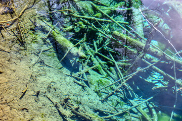 Meerauge, Bodental, Meerauge Bodental, Kärnten, Toteisloch, Teich, Tümpel, Wasser, Baum, Baumstamm, Baumstämme, versunken, Natur, natürlich, Eiszeit, Gletscher, türkis, Färbung, Algen, Würm-Eiszeit, F