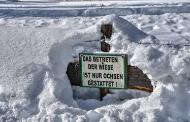 Schild, Tafel, Hinweis, Holzschild, Ochse, Warnung, Betreten, erlaubt, verboten, Zaun, Holzzaun,...