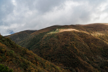 landscape with mountains in the morning