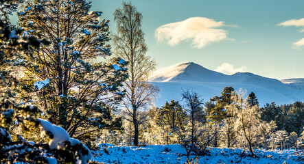 winter mountain landscape