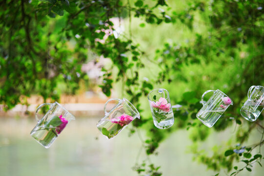 Several glass pitchers with half-filled with water and peonies hanging from the tree