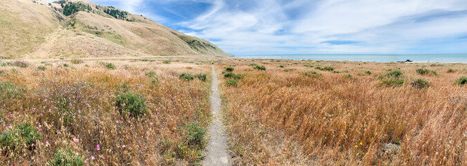 hiking trail in california overlooking ocean