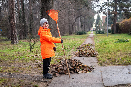 Little boy in an orange worker's jacket with a rake in his hand. Autumn removal of fallen leaves.  - Dispute to clean up or not: preserve the lawn grass vs   formation of humus and soil.