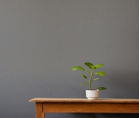 green plant in pot on wooden table