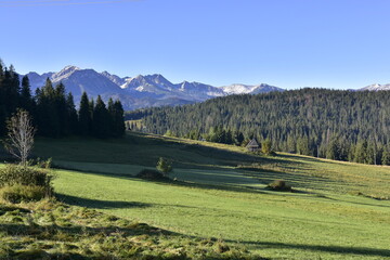 Tatry, góry, Zakopane, panorama, TPN, Park, poranek, lato, 