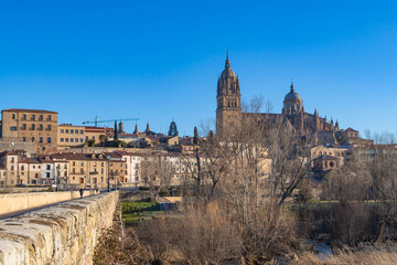 Fototapeta na wymiar Catedral de Salamanca desde el puente romano