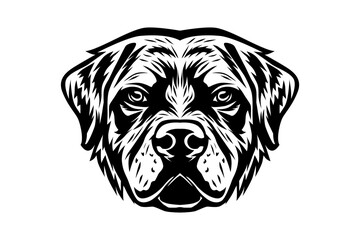 portrait of a dog, rottweiler head vector black and white