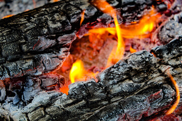 fire in log