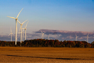 wind turbines farm