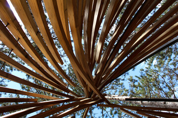 dome wood structure
