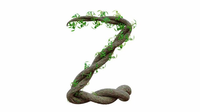 Tree grow or vine in the shape of the English text. Letter font Z. Alpha Channel, cg animation, 3D Render.