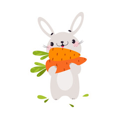 Cute Grey Bunny Character Holding Ripe Carrot Crop Vector Illustration