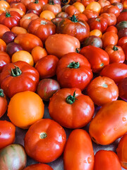 heirloom tomatoes from organic gardening