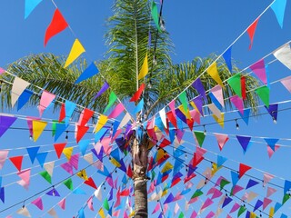palm tree with traditional Mexican colorful paper garlands